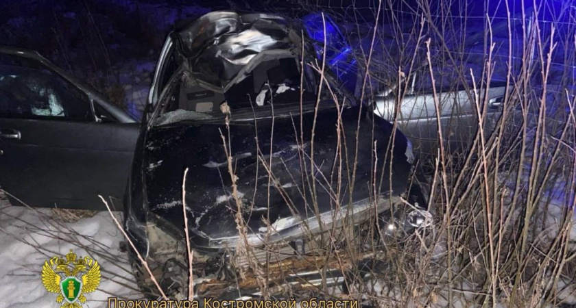 В Костромской области в ДТП с лосем погиб водитель «Лады»