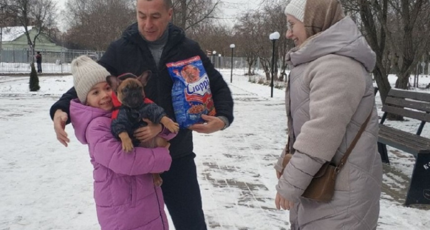 В Костроме жители могут сделать добрые дела и принести корм для бездомных животных в парк
