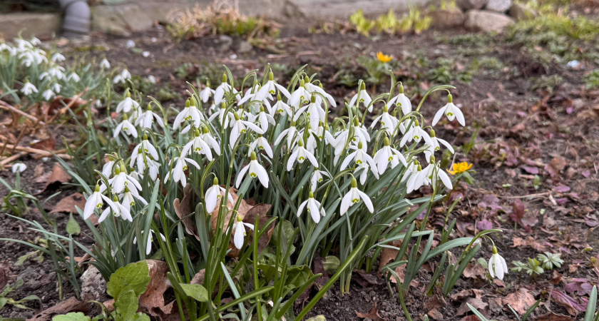 Грядет рекордная жара до +29 градусов в конце марта: где в России погода будет аномальной