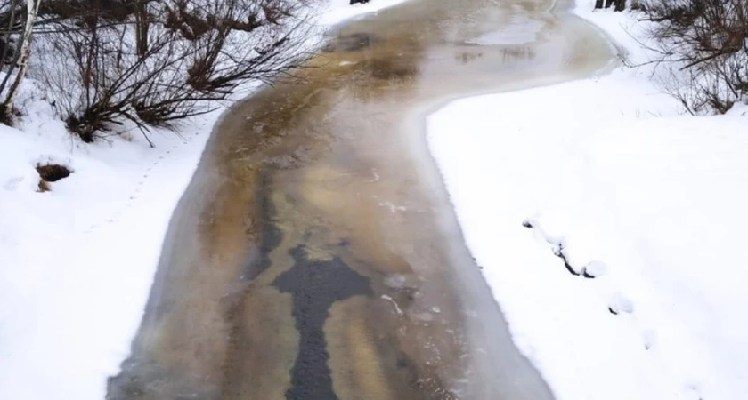 В Костромской области реки начали освобождаться ото льда