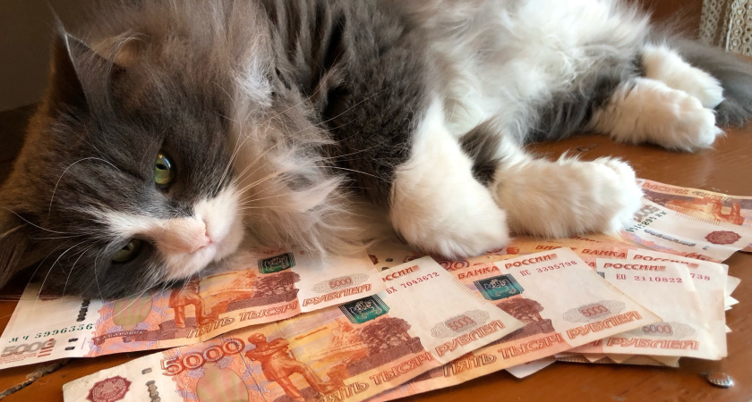 Еще 17 000 рублей сверху - россиян обрадовали щедрыми выплатами в марте