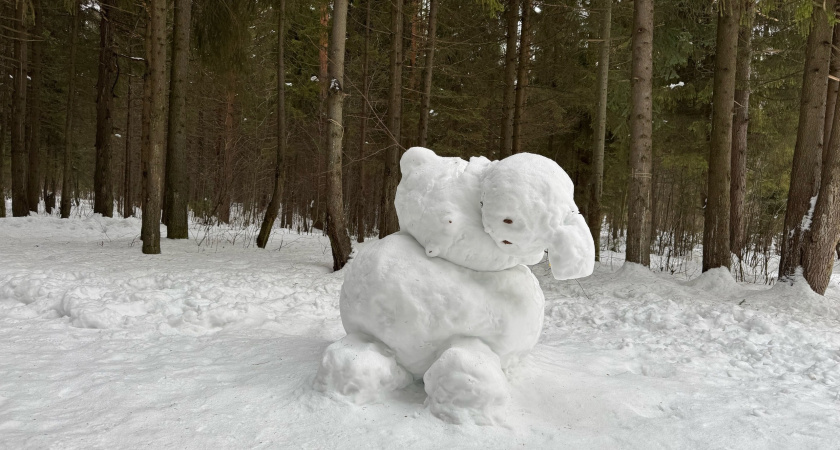 Аномальные морозы вернутся уже с 19 марта: Вильфанд заявил о резком похолодании до -13