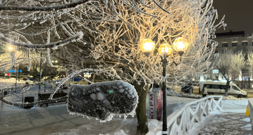 Аномальная зима вернется в середине весны: Вильфанд озвучил новый прогноз на март и апрель