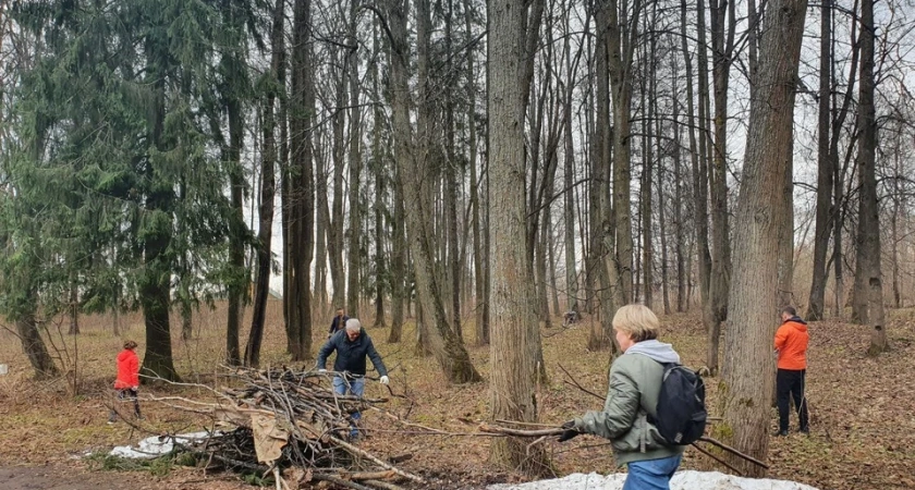 В Костроме на месяц раньше пройдут субботники
