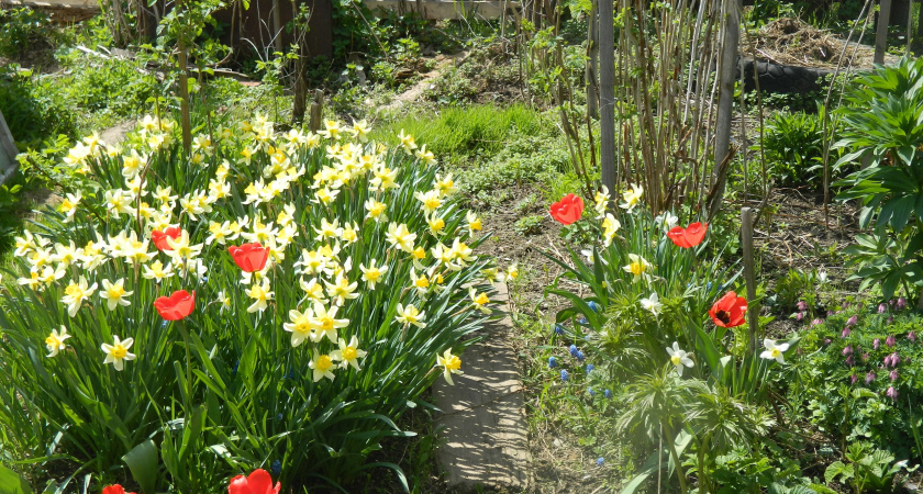 Жара накроет резко и без стука: Вильфанд назвал точную дату расцвета настоящей весны