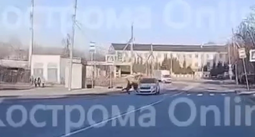 В Костроме 70-летний пенсионер сбил двух школьников у больницы