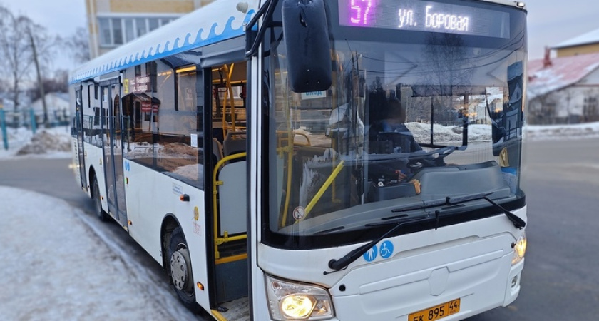 "Любовь - это заплатить за нее": в Костроме в салонах автобусов появились карточки, напоминающие о чувствах