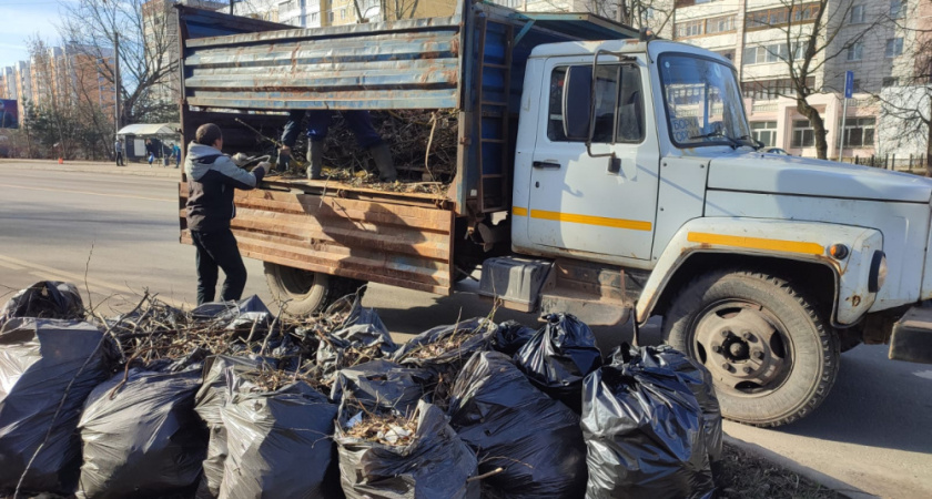 Костромичи сами могут решить когда выходить на субботник