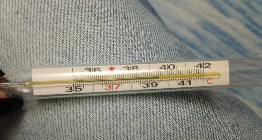Придется работать с температурой 38 °C: Минздрав готовит обидный подарок с больничными для россиян