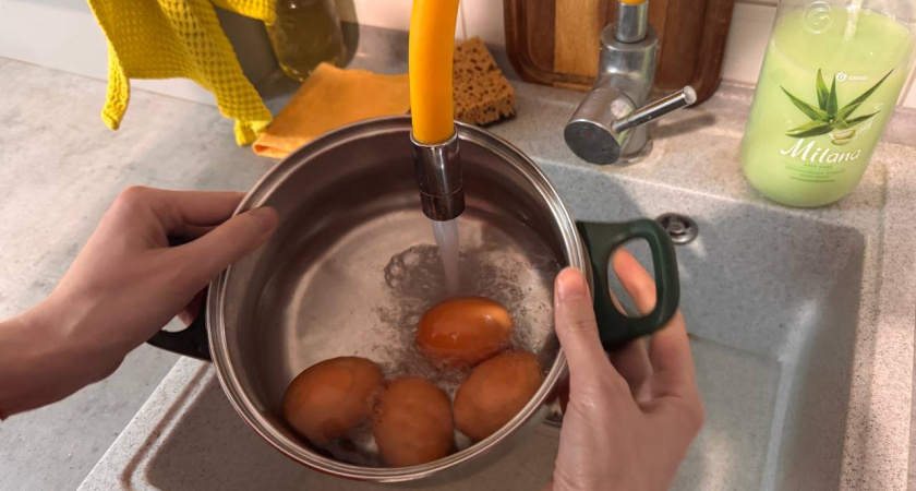 Всю жизнь варила яйца неправильно: в Роскачестве объяснили, как надо - запомните и вы раз и навсегда