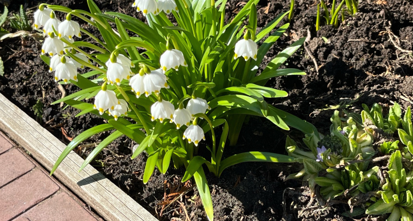 Аномальная жара в марте, дожди в апреле и ледяной май: синоптики обновили прогноз на весну 2025 года