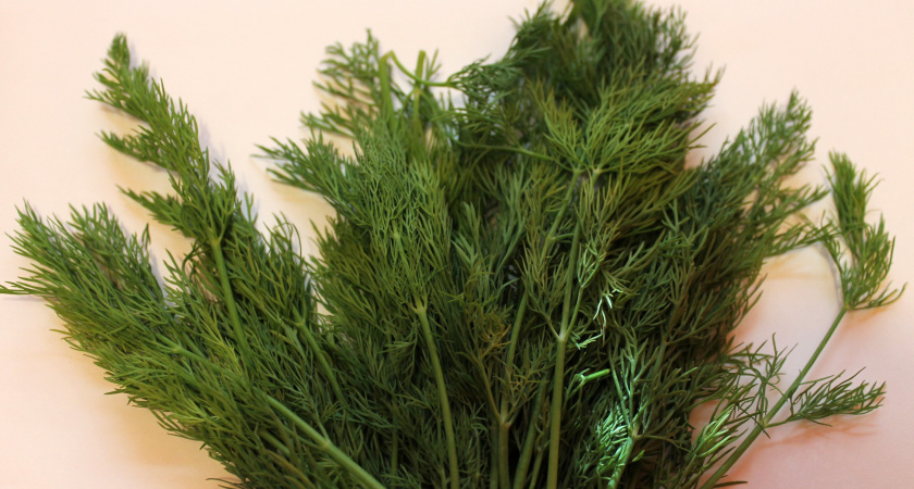 Нужно ли мыть укроп и петрушку? Запомните это раз и навсегда и друзьям расскажите - ответ от Роскачества