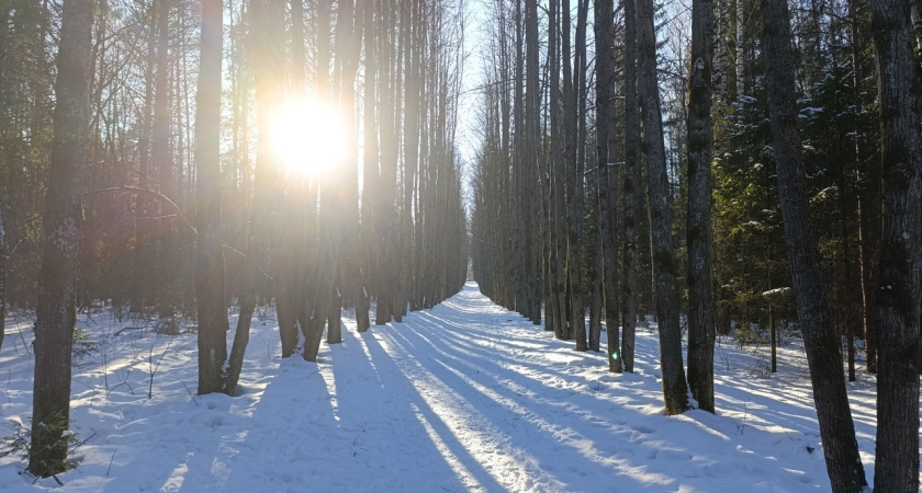 Дроны в небе: жителей Красносельского района предупредили о съемках