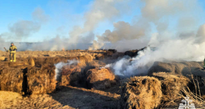 В Костромской области из-за детской шалости и одной спички сгорело 50 кип сена