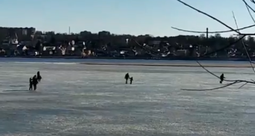 “Инстинкт самосохранения отсутствует”: на Волге заметили родителей с детьми, которые гуляют по весеннему льду