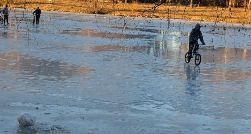 В Костроме на пруду в «Берендеевке» дети продолжают выходить на лед