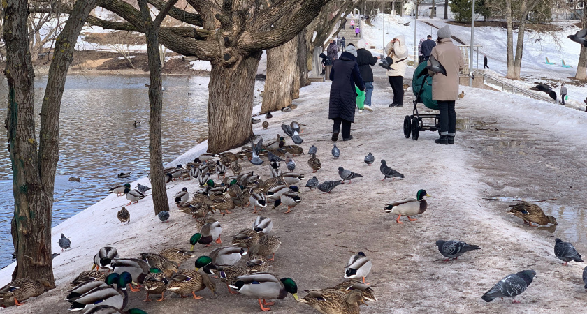 "Страдать будем все": Вильфанд назвал точную дату прихода адской жары в Россию