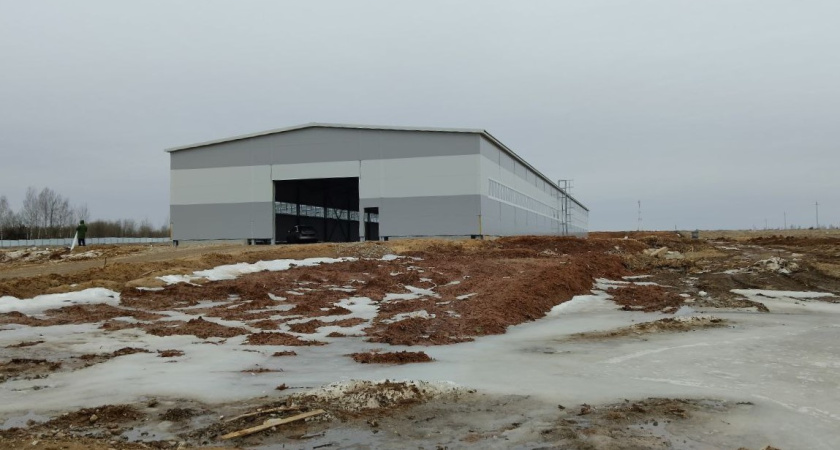 320 млн рублей и 100 рабочих мест: в Костромской области открывается новый фанерный завод