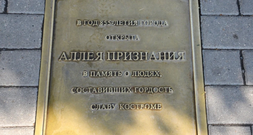 В Костроме выбрали пять кандидатур для Аллеи признания