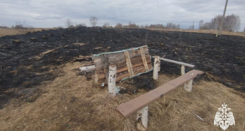 В Нерехтском районе отдыхающие готовили шашлык и сожгли поле