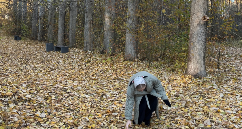 36 укусов за март: Роспотребнадзор предупреждает о начале сезона клещей в Костромской области