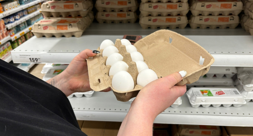 Что означают цифры и буквы на куриных яйцах? В Роскачестве объяснили, что к чему - запомните раз и навсегда