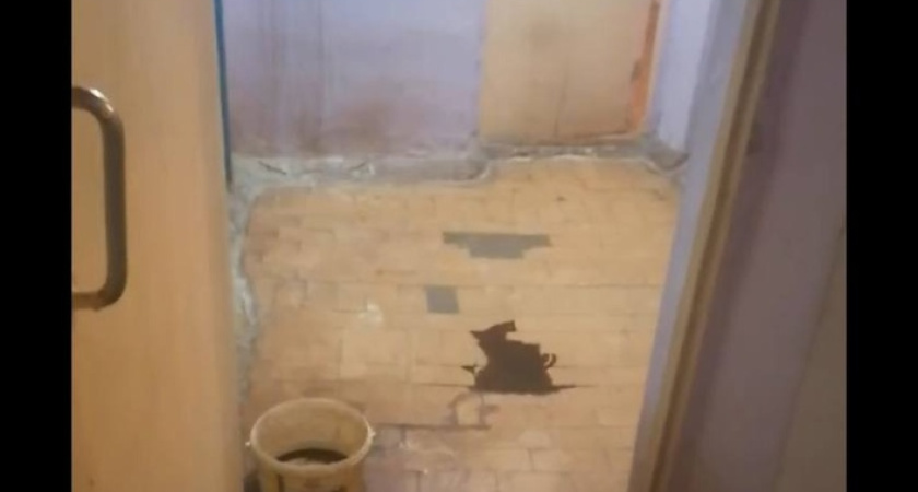 Тазики вместо ремонта: прокуратура взялась за аварийное общежитие в Костроме