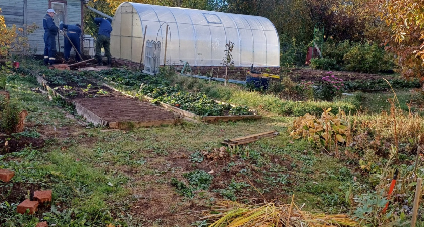 С 1 мая вводится запрет на теплицы: коснется всех, у кого есть дача или участок - новые штрафы пугают