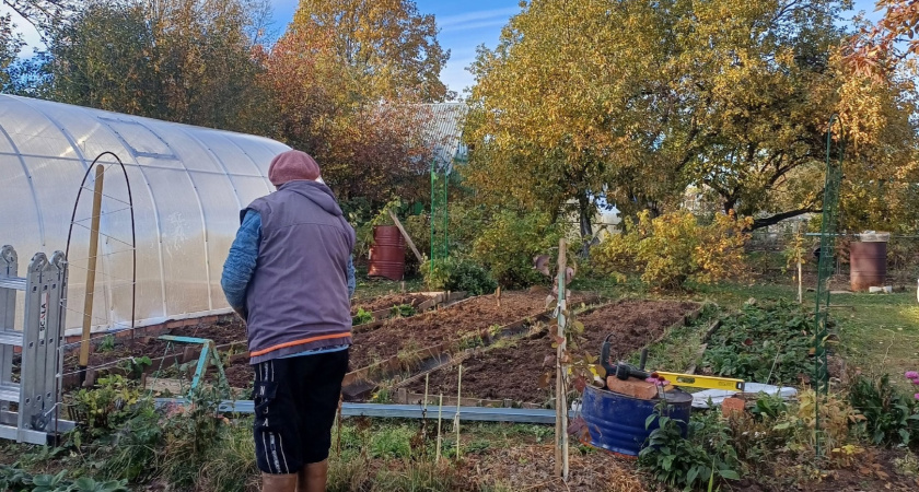 С мая будут полностью запрещены компостные кучи: всех дачников ждет неприятное правило