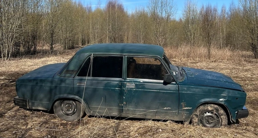 В Костромской области задержали водителя, который сбил женщину с двухлетним ребенком и скрылся с места ДТП