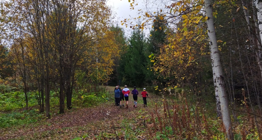 Эксперт по фитнесу раскрыл 15-минутный способ сжечь жир