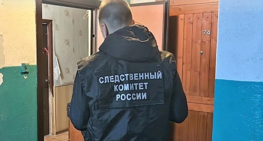 Роковой удар в шею: в Шарье 49-летняя женщина зарезала возлюбленного