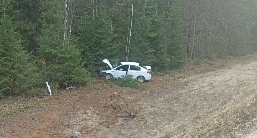 В Костромской области иномарка слетела с трассы: пострадали два человека