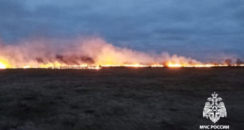 В Костромской области разыскивают поджигателей травы