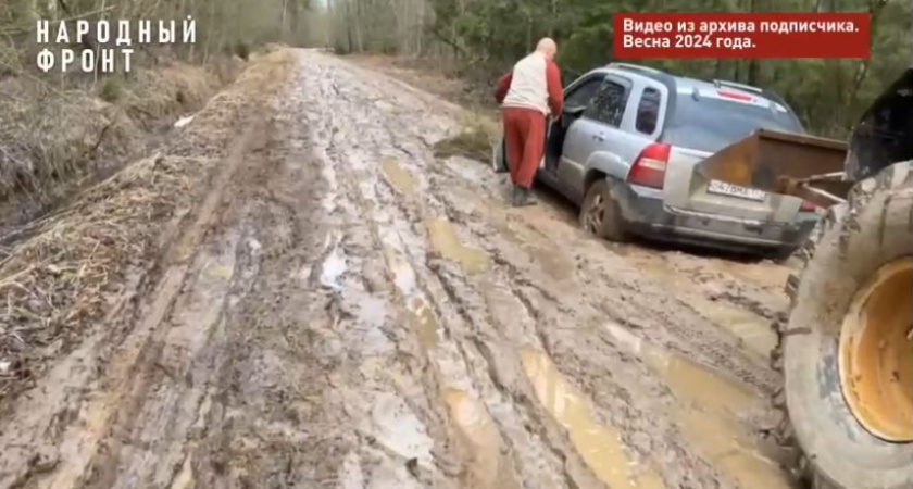 Бастрыкин поручил проверить, почему в Стропеево годами не ремонтируют дорогу