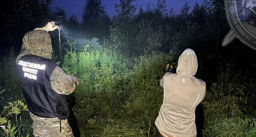 В Буйском районе житель Москвы убил человека на охоте