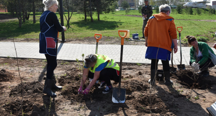 В Костроме стартовало весеннее озеленение территорий