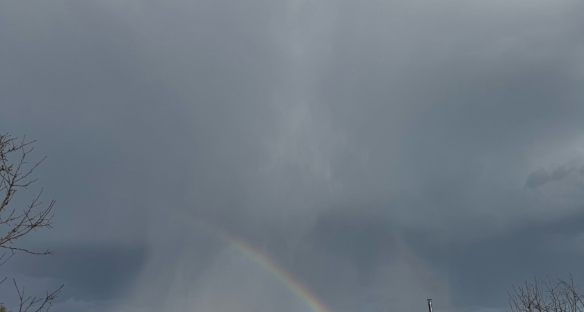 Правда, что с 5 мая полностью будет запрещена установка заборов на даче и их придется убрать? Разбираемся в этом вопросе