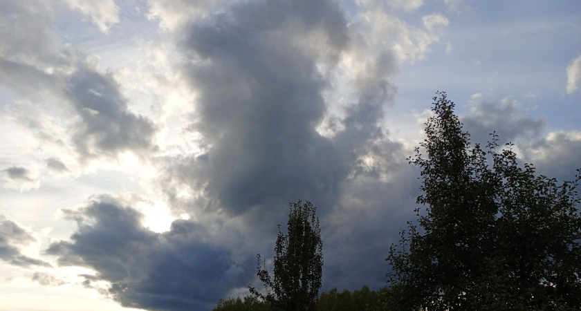 Костромскую область накроет сильный ветер: порывы до 15 м/с