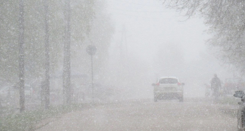 В Костромской области энергетики усилили контроль перед ухудшением погоды