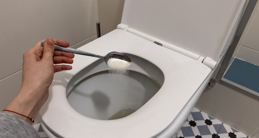 Перед приходом гостей сыплю ложку соли в унитаз и ни о чем не переживаю: соседка дала этот великолепный совет