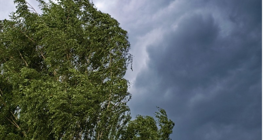 Метеорологи предупреждают о грозе и шквалистом ветре в Костромской области