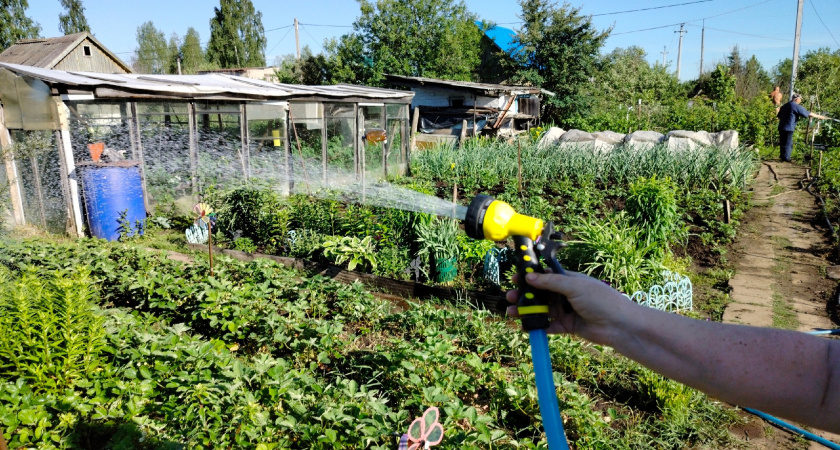 Один раз посадил картошку под картоном - урожай такой, что пришлось всем соседям раздавать