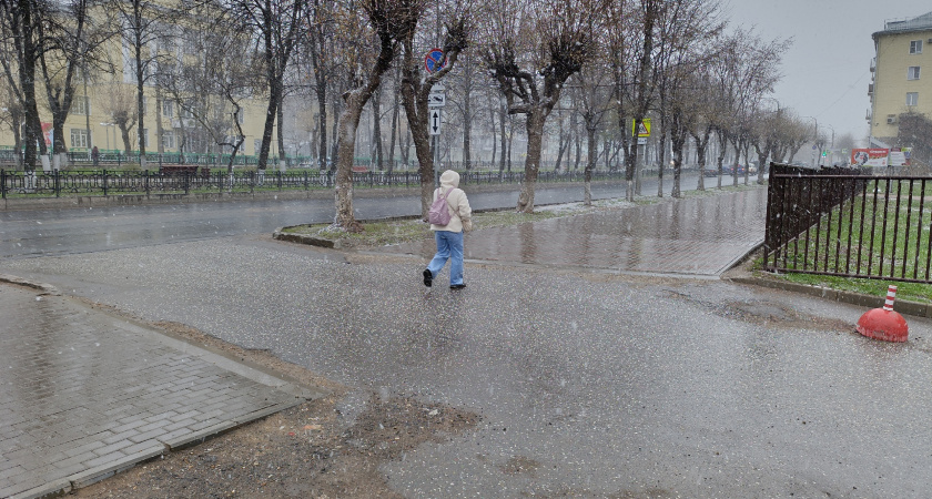 Ученые пообещали россиянам, что нынешнее лето будет самым экстремальным за всю историю наблюдений
