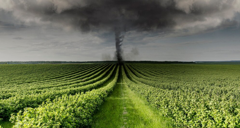 Синоптики предупреждают россиян: торнадо станут нормой этим летом