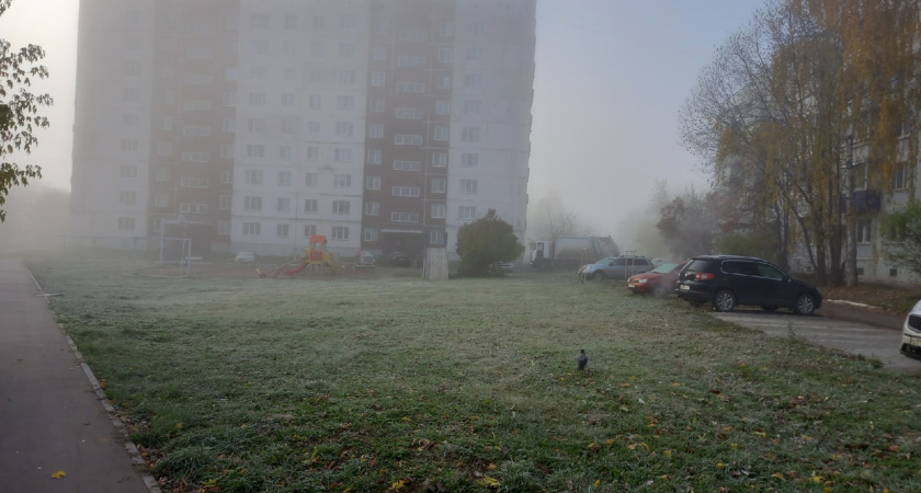 В Костромской области ожидаются заморозки с риском для урожая и пожарной безопасности