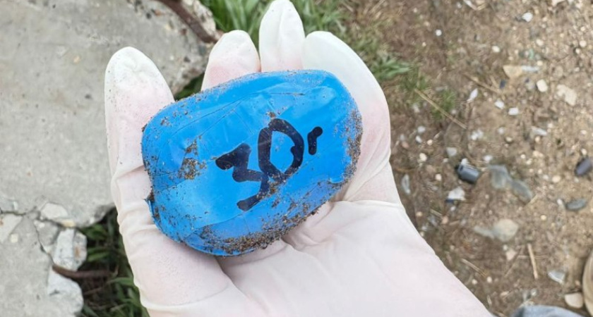 В Костроме задержали наркокурьера с крупной партией мефедрона