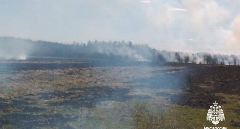 В Костромском районе произошел крупный пожар из-за пала сухой травы