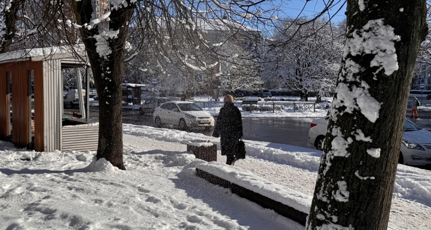 Зима снова заглянет в гости перед летом: похолодание и заморозки накроют половину России в конце мая