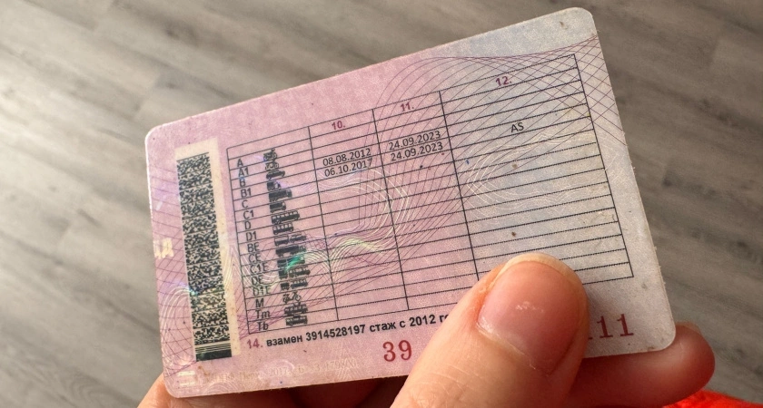 С 1 июня выехавшим за город на авто будут аннулировать права: водителей ждет новый сюрприз